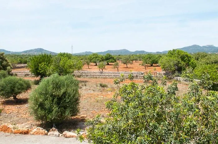 Finca Verdal Alqueria Blanca